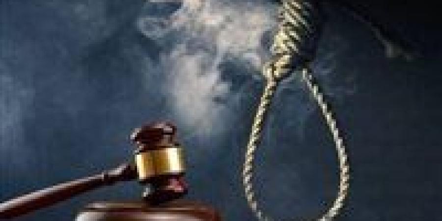 إحالة أوراق متهمين بقتل شاب عمدًا إلى المفتي.. والنطق بالحكم في سبتمبر بالقليوبية - بلس 48