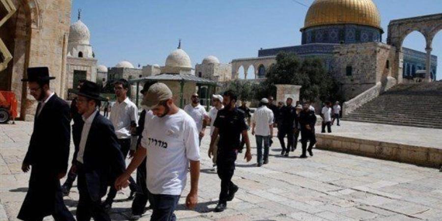 عشرات المستعمرين يقتحمون المسجد الأقصى المبارك بحراسة مشددة من قوات الاحتلال الإسرائيلي - بلس 48