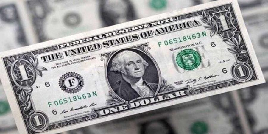 الأخضر بكام النهاردة؟.. أسعار الدولار في مصر اليوم الثلاثاء 15-7-2025 - بلس 48