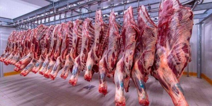الفلتو بـ 420 جنيه.. .أسعار اللحوم في مصر اليوم الثلاثاء 15 يوليو 2025 - بلس 48