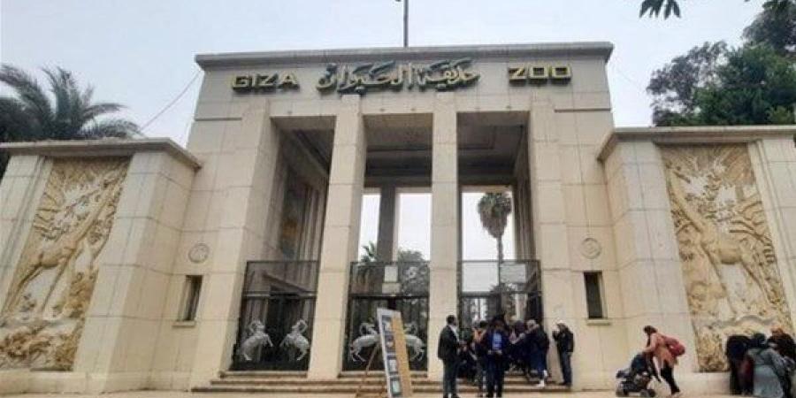 موعد افتتاح حديقة الحيوان أمام الزوار.. «الزراعة» تكشف عن مفاجأة لـ المواطنين - بلس 48