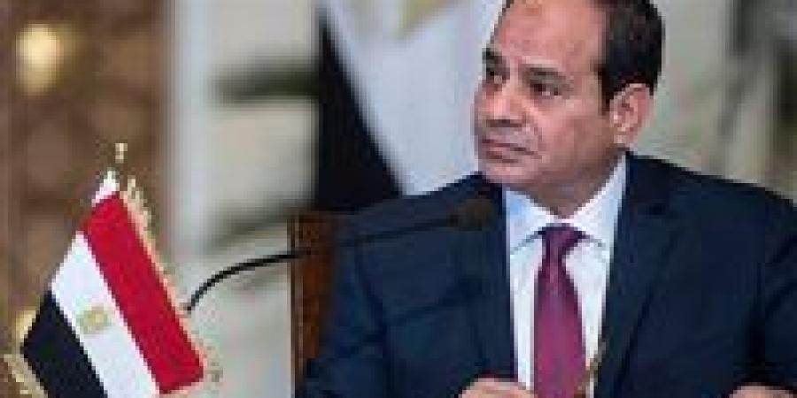 «مصر تتحرك لتهدئة العواصف الإقليمية».. جهود مكثفة لإحياء مسار التفاوض الإيراني وحل شامل للقضية الفلسطينية - بلس 48