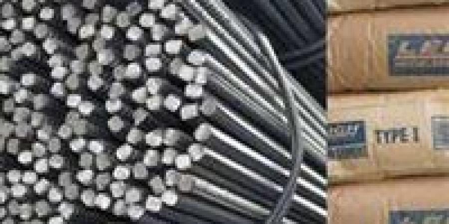 هدوء نسبي بأسواق البناء.. استقرار أسعار الحديد والأسمنت اليوم - بلس 48