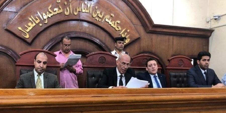 السجن المشدد 15 سنة للمتهمين بقتل سائق توكتوك في الشرقية - بلس 48