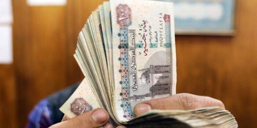 «احسب هتقبض كام».. جدول مرتبات شهر يوليو 2025 بعد الزيادة - بلس 48