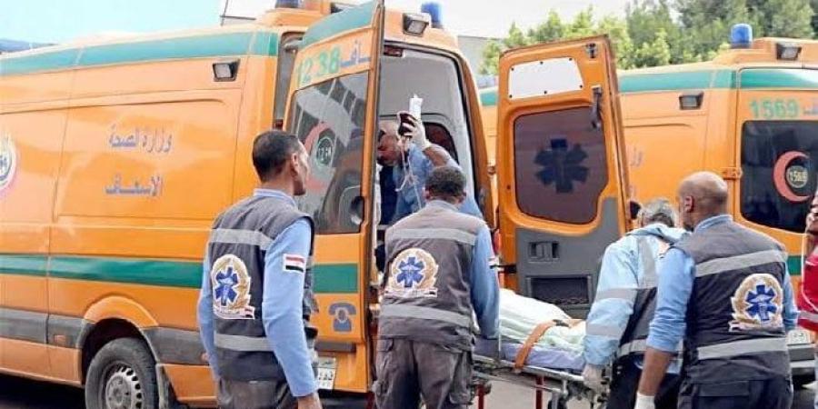 حفرة الموت.. حينما ابتلعت الأرض حلم الثراء في الجميزة بالسنطة - بلس 48