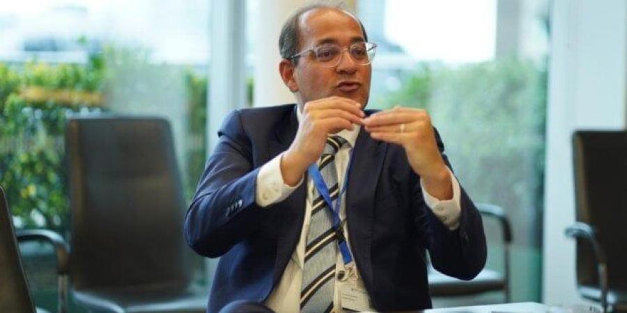 وزير المالية: أدعو المستثمرين لاستغلال الفرص الاقتصادية المتاحة في مصر - بلس 48
