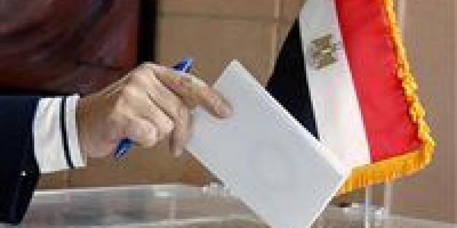 اليوم.. انطلاق الدعاية الانتخابية لمجلس الشيوخ 2025 والإعلان عن القائمة النهائية للمرشحين.. تفاصيل - بلس 48