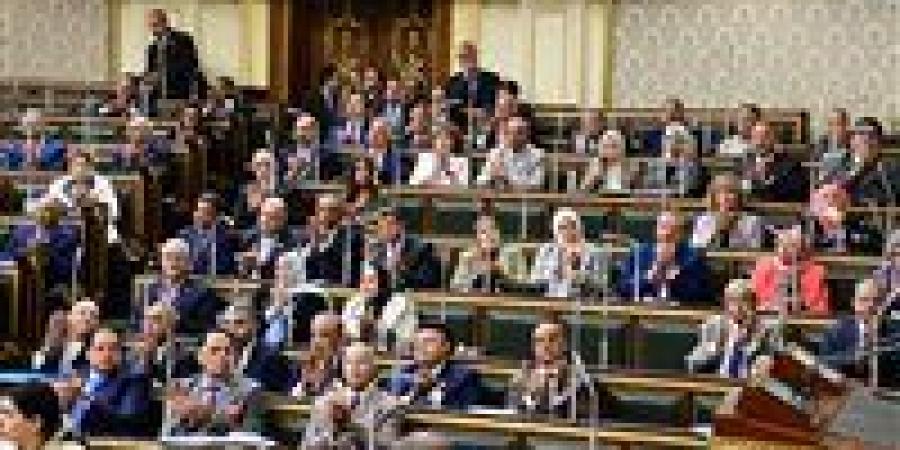دفاع النواب لـ تحيا مصر: يقظة الداخلية أفشلت مخطط «حسم».. ومصر ستظل عصي. على الإرهاب - بلس 48