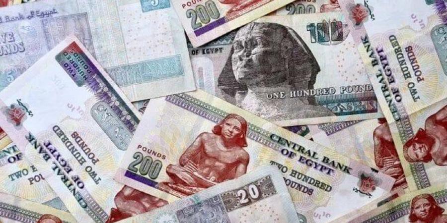 شهادات بنك مصر 2025.. أعلى فوائد شهرية وربع سنوية على مدخراتك - بلس 48