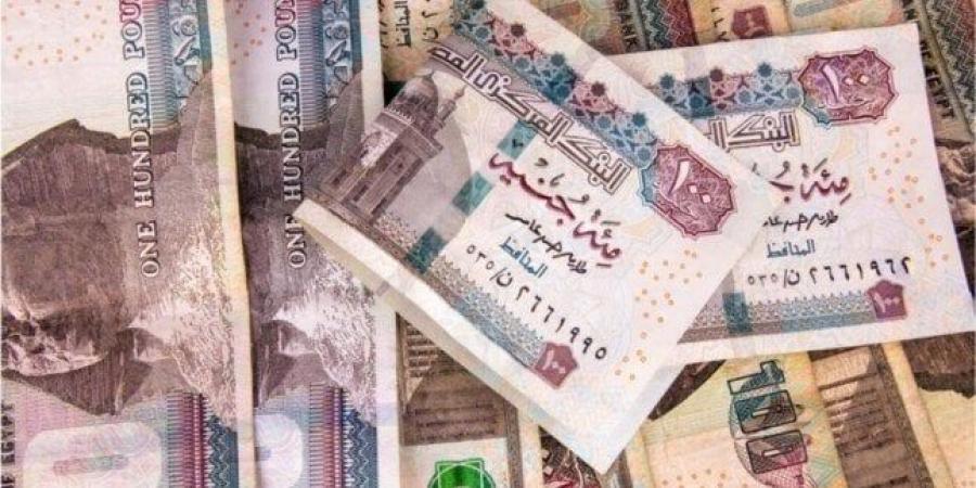 %24 فأعلى.. سعر الفائدة على القرض الشخصي للموظفين في 7 بنوك مصرية - بلس 48