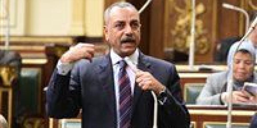 النائب إيهاب الطماوي لـ تحيا مصر: إحباط مخطط «حسم» صفعة جديدة على وجه الإرهاب - بلس 48