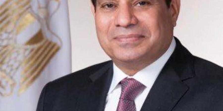 الرئيس السيسي يؤكد التزام مصر الراسخ بدعم جامعة الدول العربية - بلس 48