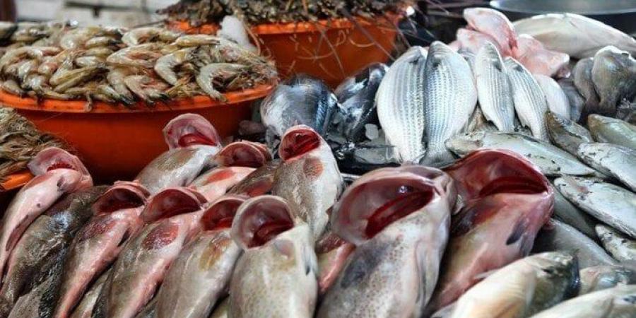 أسعار السمك للمستهلك اليوم الأحد 20 يوليو 2025 - بلس 48
