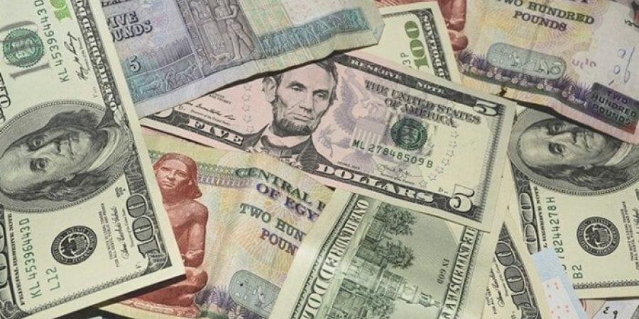 الدولار يتوقف في المركزي عند 49.28 جنيه بالتزامن مع طرح شهادات ادخار بعائد 27% - بلس 48
