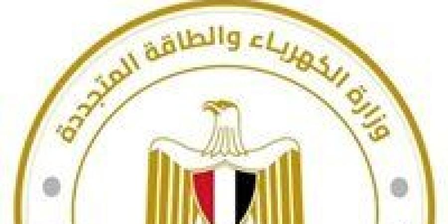 5 تعيينات قيادية جديدة في شركات الكهرباء.. تغييرات استراتيجية لتعزيز كفاءة القطاع|تفاصيل - بلس 48