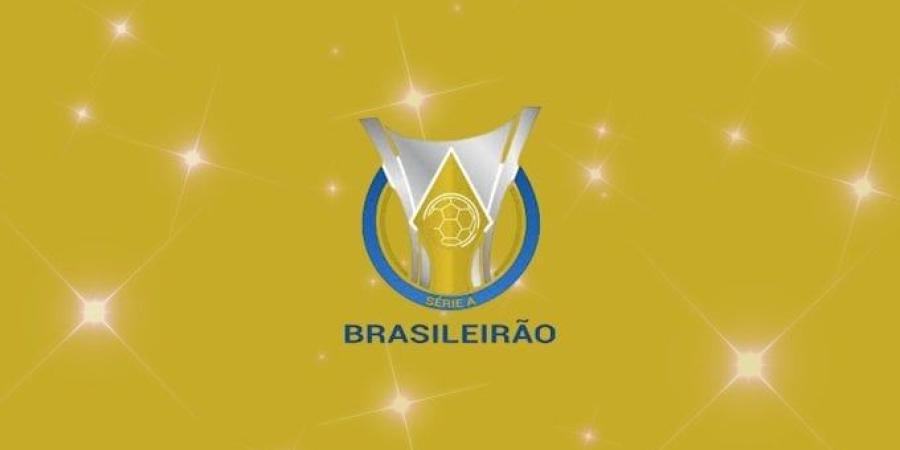 3 انتصارات بشق الأنفس لفلامنجو وبالميراس وبوتافوجو في الدوري البرازيلي - بلس 48