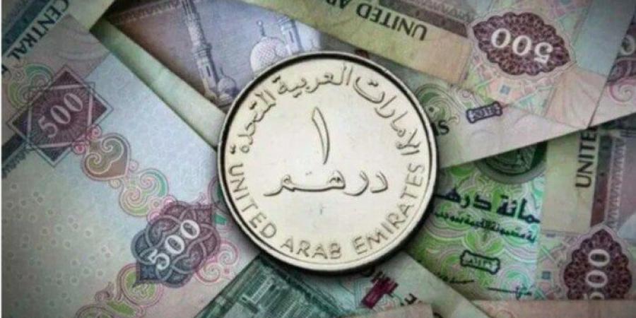 أسعار الدرهم الإماراتي في مصر اليوم الثلاثاء 22 يوليو 2025 - بلس 48