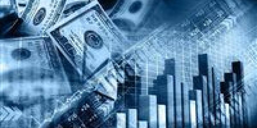 زيادة في الاستثمارات ..مستقبل الاقتصاد المصري 2025 - بلس 48