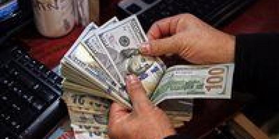 ضبط قضايا اتجار بالعملات الأجنبية تتجاوز قيمتها 3 ملايين جنيه خلال 24 ساعة - بلس 48