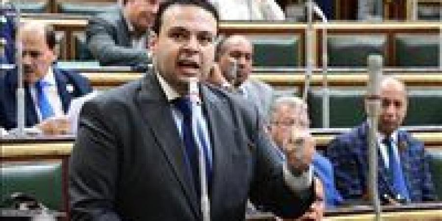 حزب العدل لـ تحيا مصر: ندين دعوات الجماعة الارهابية لحصار السفارات .. الموقف المصري ثابت وراسخ فى دعم القضية الفلسطينية - بلس 48