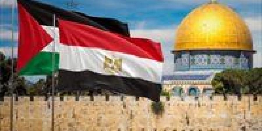 حزب الإصلاح والنهضة لـ تحيا مصر: دعوات التجمهر أمام سفارات مصر تشويش متعمد على الجهد الوطني في دعم فلسطين - بلس 48