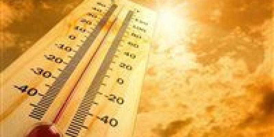 تحت موجة الحر الخانقة| كيف تتجنب الإجهاد الحراري؟ - بلس 48