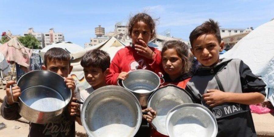 «الإيسيسكو» توجه نداء إلى العالم لوقف حرب الإبادة والتجويع في غزة - بلس 48