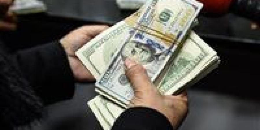 سعر الدولار مقابل الجنيه المصري في بداية تعاملات اليوم - بلس 48