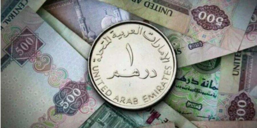 أسعار الدرهم الإماراتي في مصر بختام التعاملات اليوم.. السبت 26 يوليو 2025 - بلس 48
