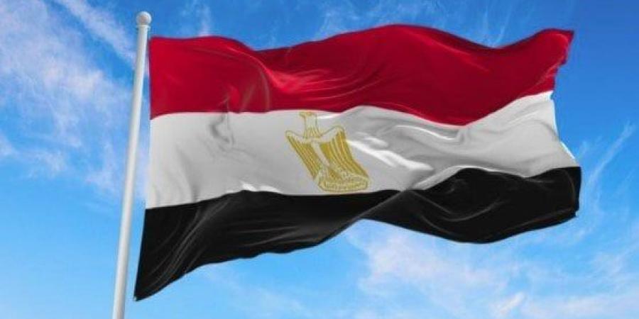 مصادر لـ «القاهرة الإخبارية»: جهود مصرية قطرية لزيادة حجم المساعدات لقطاع غزة والاعتماد على أكثر من معبر - بلس 48