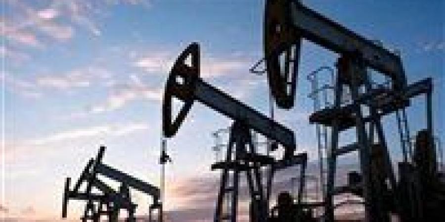 خبير: الحرب التجارية بين أمريكا والصين فرصة لمصر.. وانخفاض أسعار النفط يدعم الاقتصاد ويقلل التضخم - بلس 48