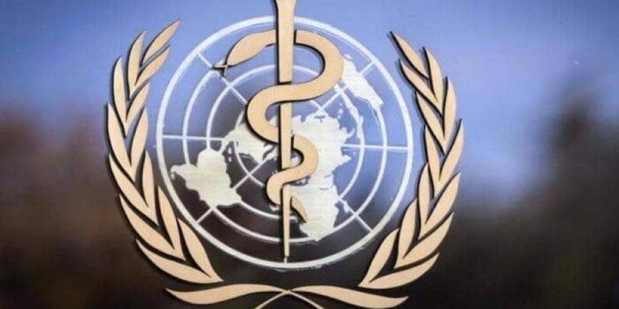 الصحة العالمية تشيد بدور مصر في تقديم الخدمات الصحية للمتأثرين بالنزاعات بالدول المجاورة - بلس 48