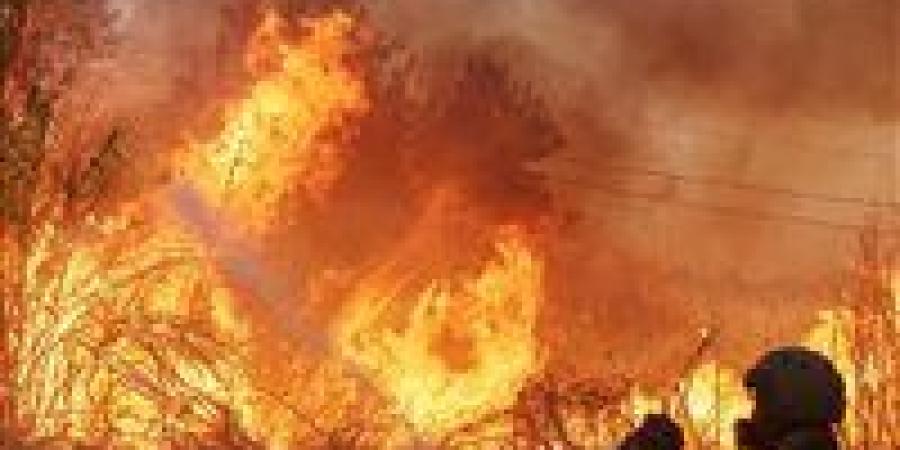 حرائق تلتهم غابات اليونان: موجة حر ثالثة تضع أثينا والجزر في حالة استنفار قصوى - بلس 48
