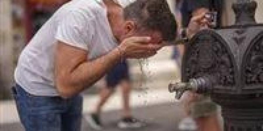 ارتفاع درجات الحرارة..خطر يهدد الجميع|تفاصيل - بلس 48