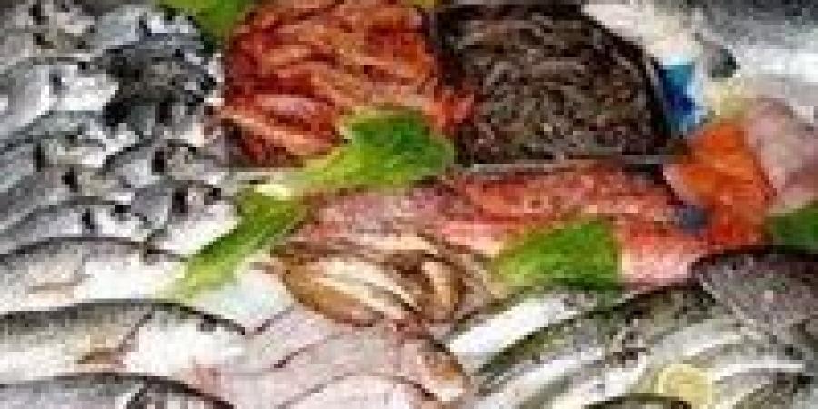 80 جنيه سعر السمك البلطي..تعرف على أسعار السمك اليوم السبت 26 يوليو - بلس 48