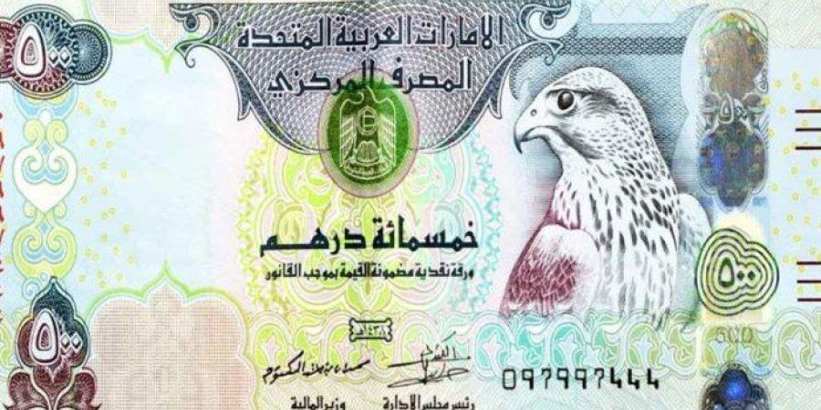 الدرهم الاماراتى يسجل 13.34 جنيه فى البنك المركزى منتصف تعاملات اليوم - بلس 48