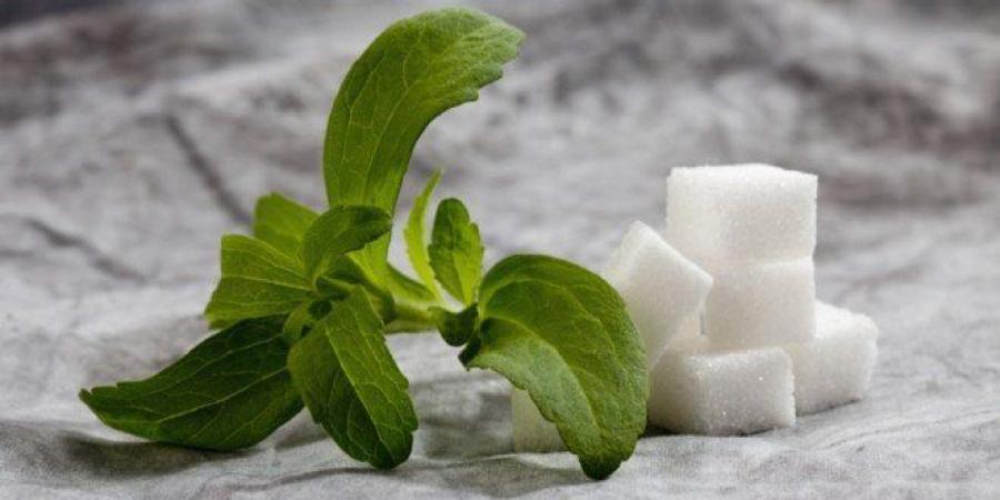 مستخلص طبيعي يعيد الأمل في مكافحة سرطان البنكرياس - بلس 48
