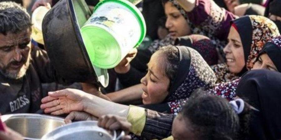 رغم إطلاق النار.. مئات الغزيين يخاطرون بحياتهم للحصول على المساعدات عبر محور «زكيم» - بلس 48