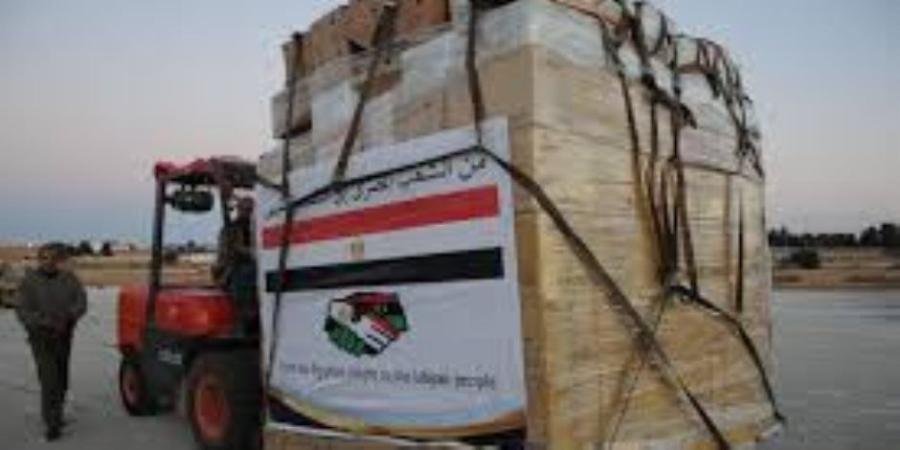 الخارجية : مصر أدخلت 70% من مساعدات غزة وتتحرك على 3 مسارات لدعم الفلسطينيين - بلس 48