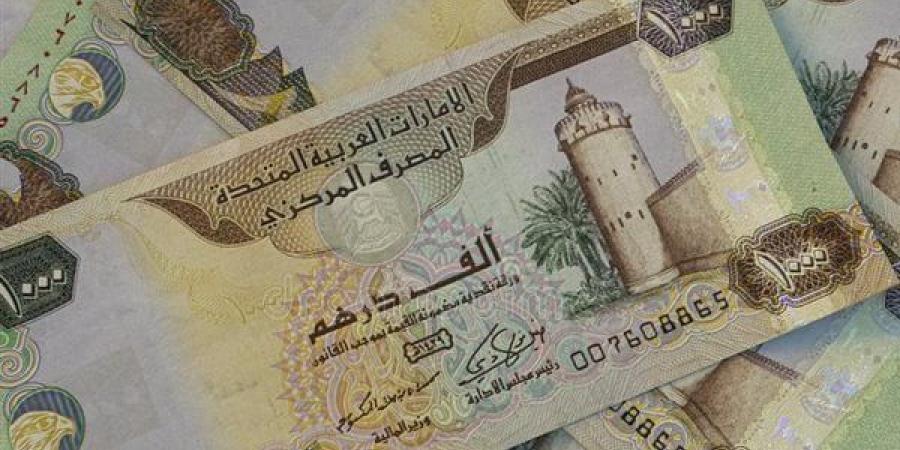 بكم الدرهم الاماراتى.. .تعرف على سعر الدرهم الاماراتى فى البنوك المصرية - بلس 48