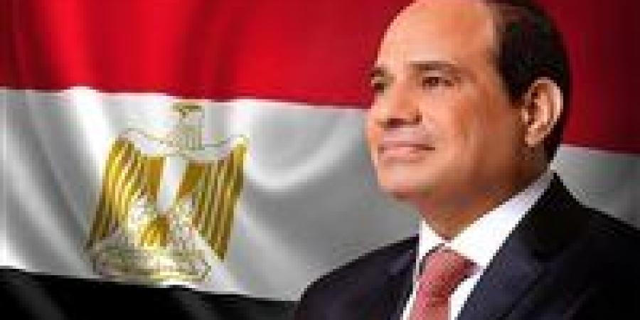 «الحرية المصري»: كلمة الرئيس السيسى صفعة سياسية لمحاولات التضليل حول دور مصر فى القضية الفلسطينية - بلس 48