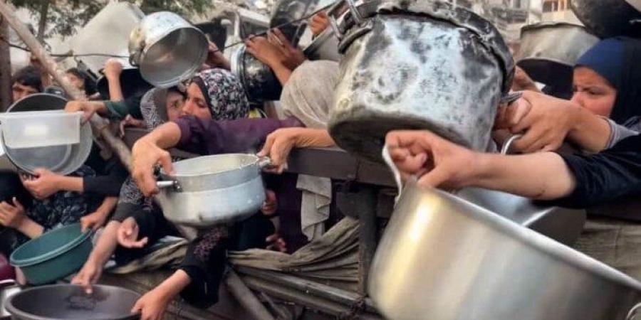 صرخة الخبز في غزة: الأسواق تحوّلت إلى ساحات تجويع وعقاب جماعي - بلس 48