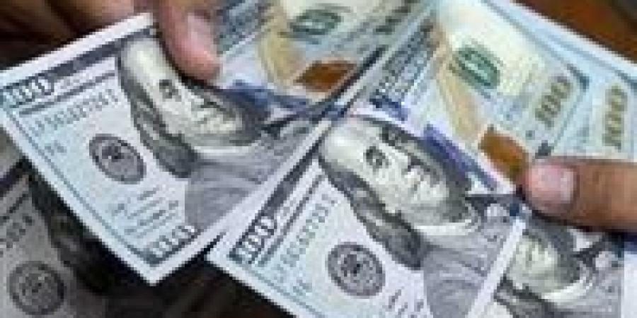 ضبط قضايا اتجار غير مشروع في العملات الأجنبية بـ5 ملايين جنيه خلال 24 ساعة - بلس 48