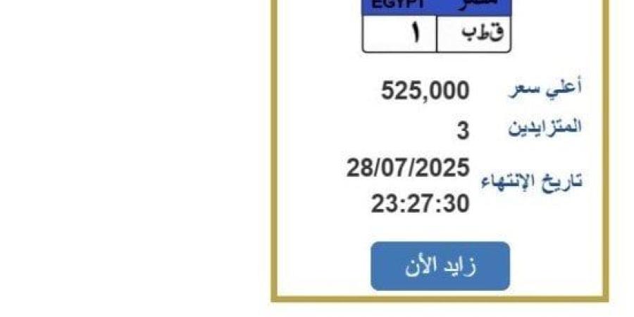 سعرها تخطى نصف مليون جنيه.. المزايدة على لوحة سيارة مميزة - بلس 48