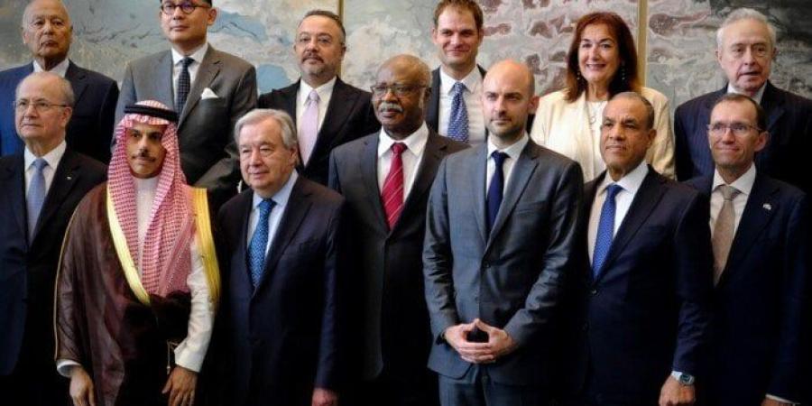 وزير الخارجية يشارك في المؤتمر الدولي للتسوية السلمية لقضية فلسطين وتنفيذ حل الدولتين - بلس 48