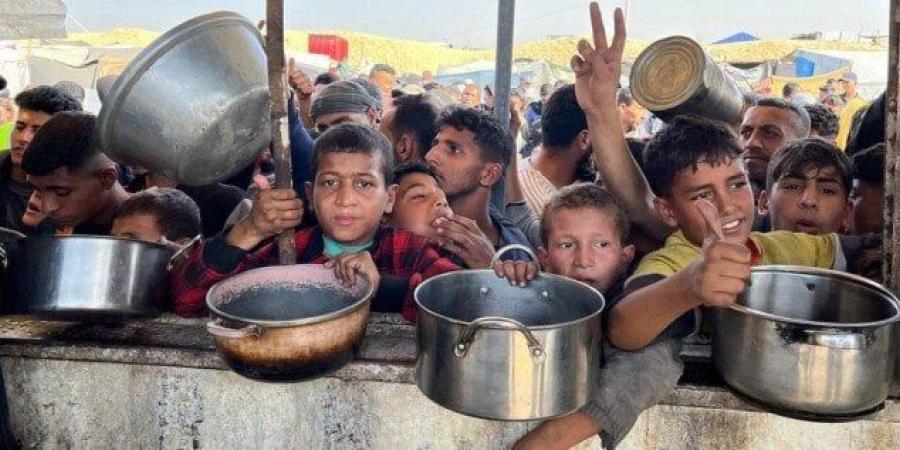 الأغذية العالمي واليونيسف: الوضع الإنساني في غزة يتدهور بوتيرة مقلقة - بلس 48