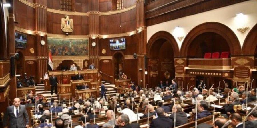 رغم التحديات.. «الشيوخ»: خريطة زمنية منظّمة للانتخابات تصويت الخارج مطلع أغسطس - بلس 48