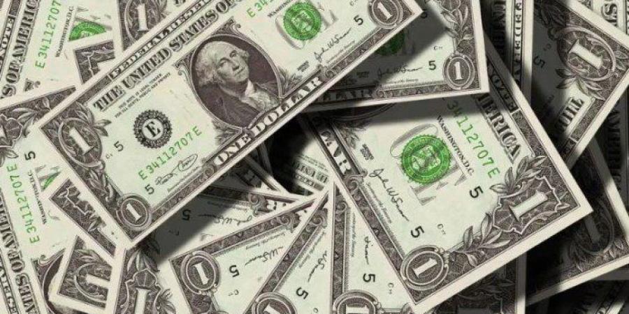 الأخضر بكام النهاردة؟.. أسعار الدولار في مصر اليوم الثلاثاء 29 يوليو 2025 - بلس 48