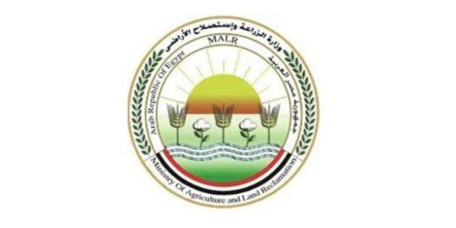 تحصين أكثر من مليون رأس ماشية ضد الحمى القلاعية والوادي المتصدع - بلس 48